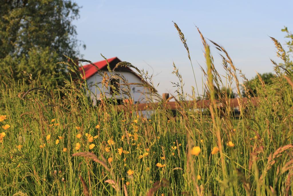 Holiday home Osrodek Wypoczynkowo Sportowy Pod Zurawiem